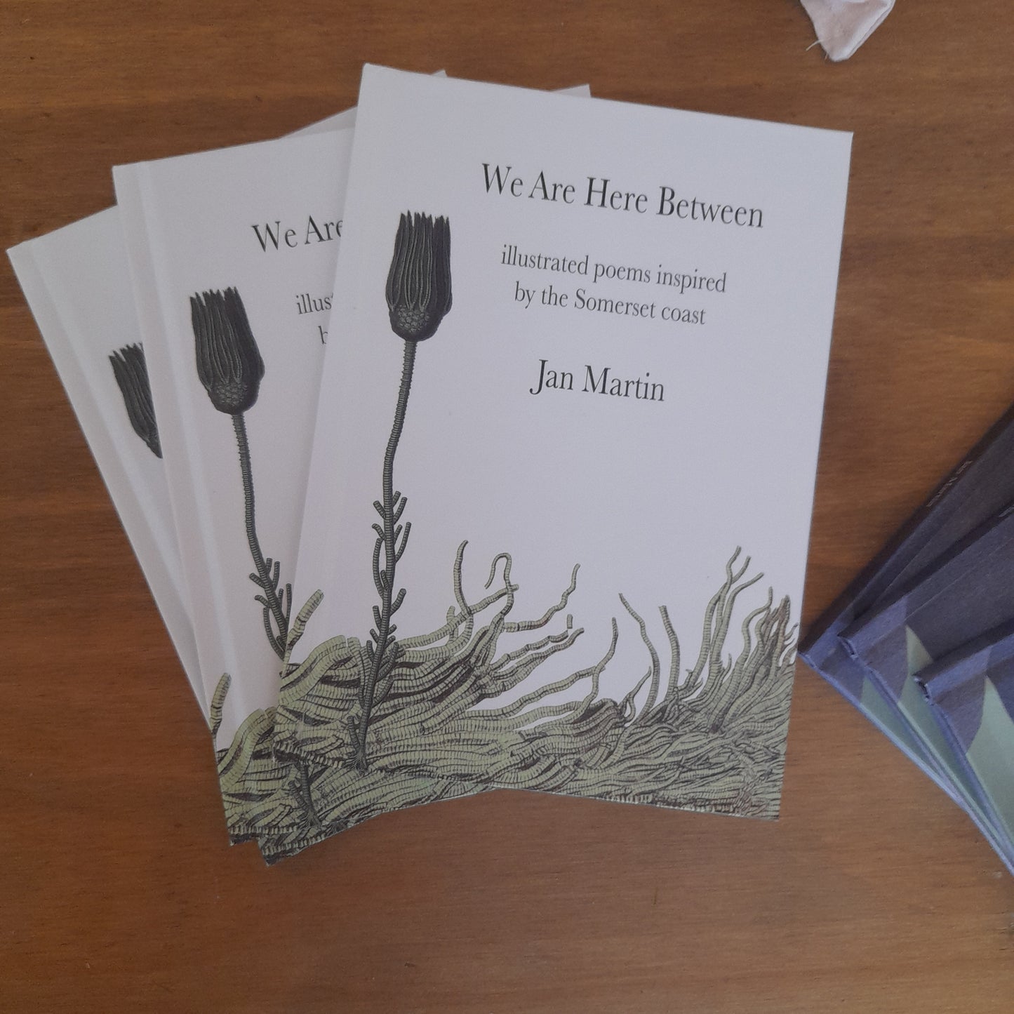 Jan Martin Poetry Books